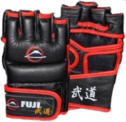 Перчатки для ММА Fuji Sports Pro MMA Gloves фото